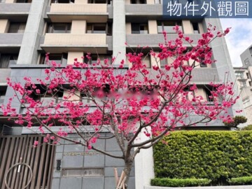 樂屋_丞石淳待售房屋 丞石淳待售房屋