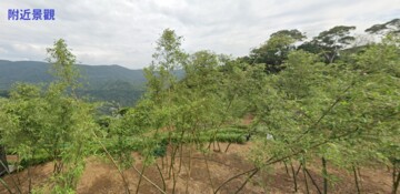 ~便宜讓售~陽明山林地~歡迎合作