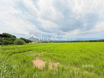 樂屋_旗山區待售房屋 旗山區待售房屋