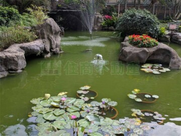 玫瑰騎仕待售房屋