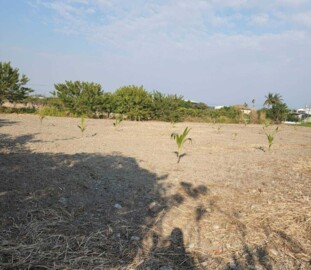 林邊鄉待售房屋