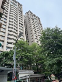 力麒雙星待售房屋