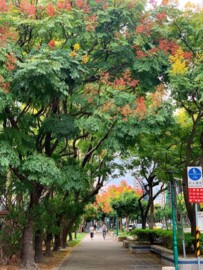 新光仰德華廈待售房屋