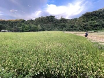 龍潭區待售房屋