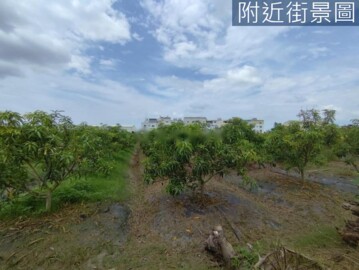 樂屋_善化區待售房屋 善化區待售房屋