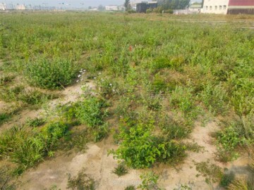 斗南鎮待售房屋