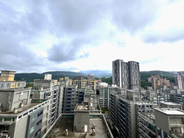 摩納哥待售房屋