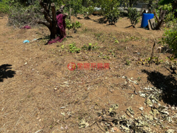 淡水區待售房屋