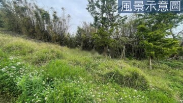 樂屋_新埔鎮待售房屋 新埔鎮待售房屋