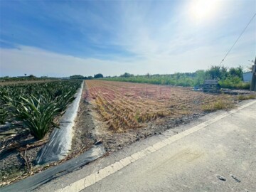 莿桐鄉待售房屋