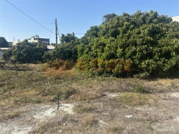 芬園鄉待售房屋