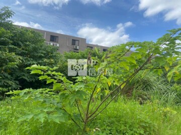 龍潭區待售房屋