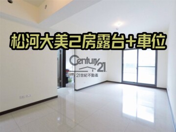 信義上水/松河大美待售房屋