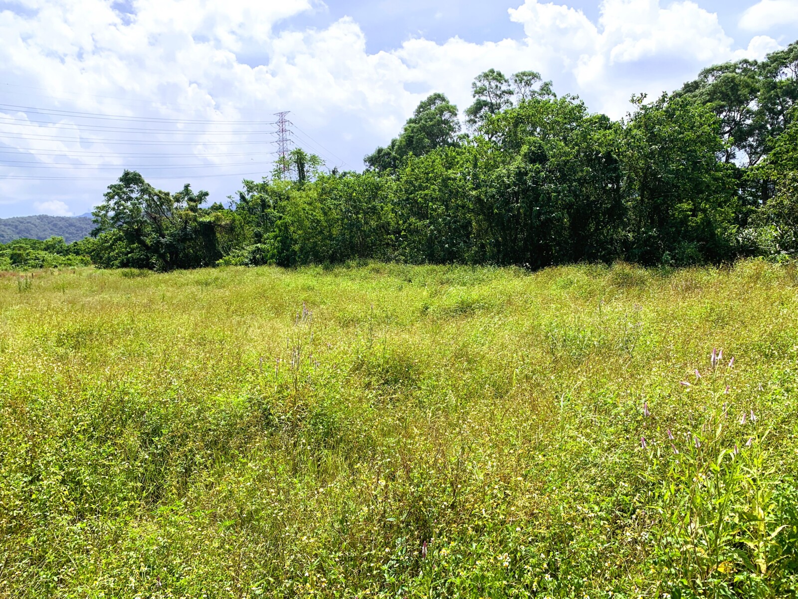 三星大隱免萬元861農地