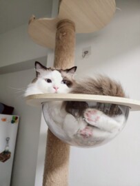 樂屋_湖畔寶石捷待售房屋 湖畔寶石捷待售房屋