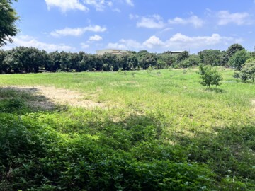 神岡區待售房屋