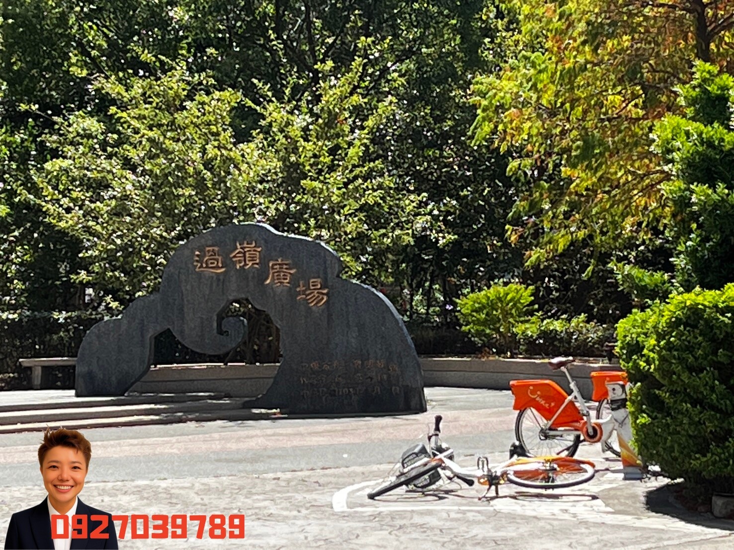 ❤️穎推❤️過嶺海德極美3房車