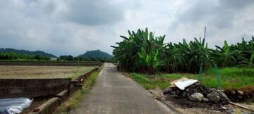 美濃區待售房屋