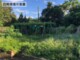 逸園農家樂