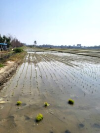 樂屋_花壇鄉待售房屋 花壇鄉待售房屋