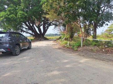 麻豆一般農業區 村莊旁 801坪平坦農地