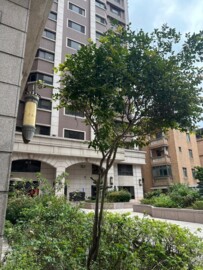 樂屋_高誠首耀待售房屋 高誠首耀待售房屋