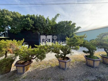 樹林區待售房屋