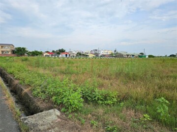 鹽水區待售房屋