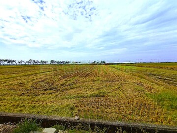 白河區待售房屋