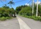 大平最美三面路農地