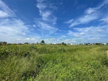 吳厝航空城農地