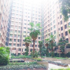 印象巴黎待售房屋