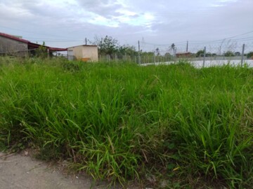 樂屋_茄萣區待租房屋 茄萣區待租房屋