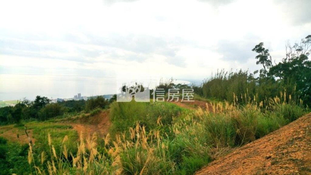 整體開發特定目的專案山坡地