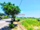 三芝淡金路農地