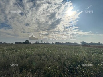 清水區待售房屋