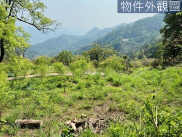 協雲宮旁櫻花秘境休閒農地