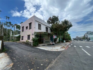 大雅路透天獨棟 - Image 1