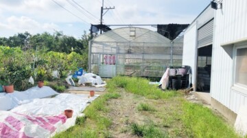 樂屋_燕巢區待售房屋 燕巢區待售房屋
