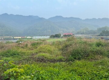 高雄市美濃廣興國小農地