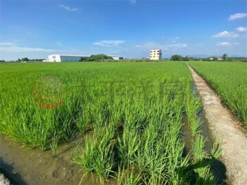 芬園鄉待售房屋