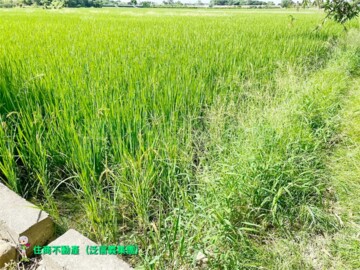 田中鎮待售房屋