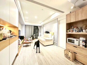 樂屋_藍海帝國藍海VILLA待售房屋 藍海帝國藍海VILLA待售房屋