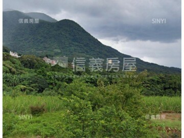 淡水區待售房屋