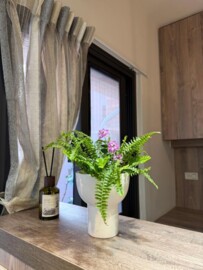 樂屋_新第待售房屋 新第待售房屋