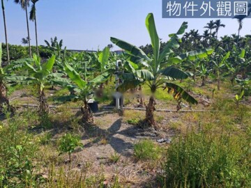 南州鄉待售房屋