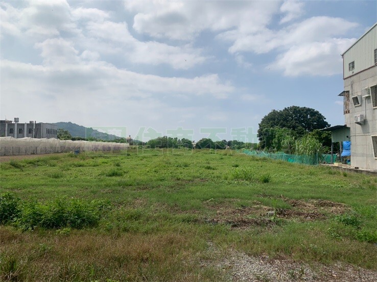 阿蓮漂亮農地出售