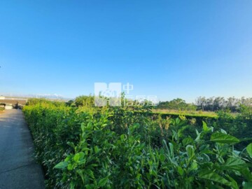 后里區待售房屋