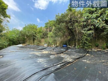 樂屋_豐原區待售房屋 豐原區待售房屋