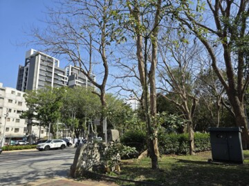 昌昕森林首席待售房屋
